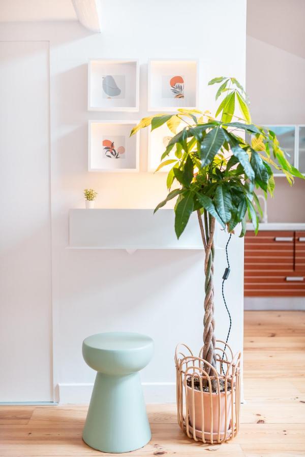 Duplex Au Coeur Du Vieux Ница Екстериор снимка